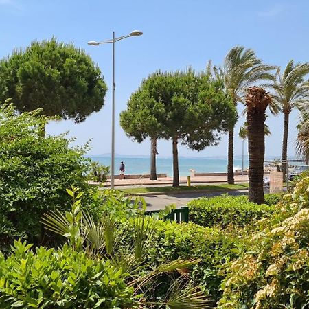 Studio De La Plage - Mer, Terrasse Et Garage カーニュ・シュル・メール エクステリア 写真