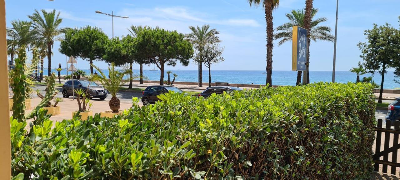 Studio De La Plage - Mer, Terrasse Et Garage カーニュ・シュル・メール エクステリア 写真