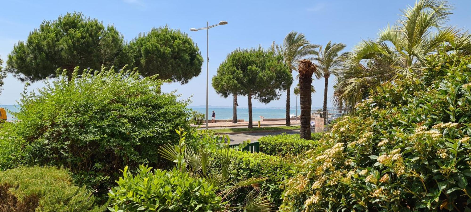 Studio De La Plage - Mer, Terrasse Et Garage カーニュ・シュル・メール エクステリア 写真